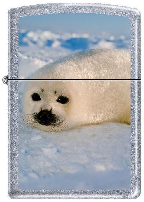 Öngyújtó Zippo Seal Pup 0230
