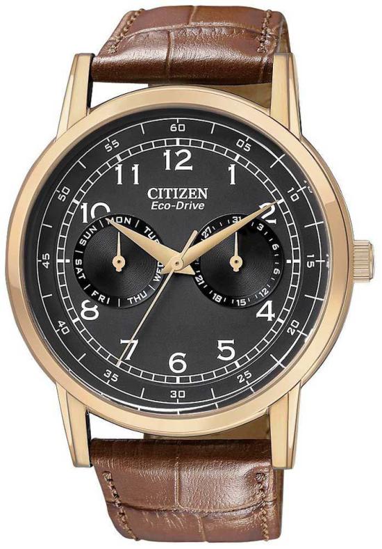 Karóra Citizen AO9003-08E Straps