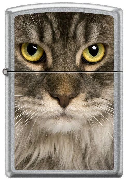 Öngyújtó Zippo Coon Cat 6116
